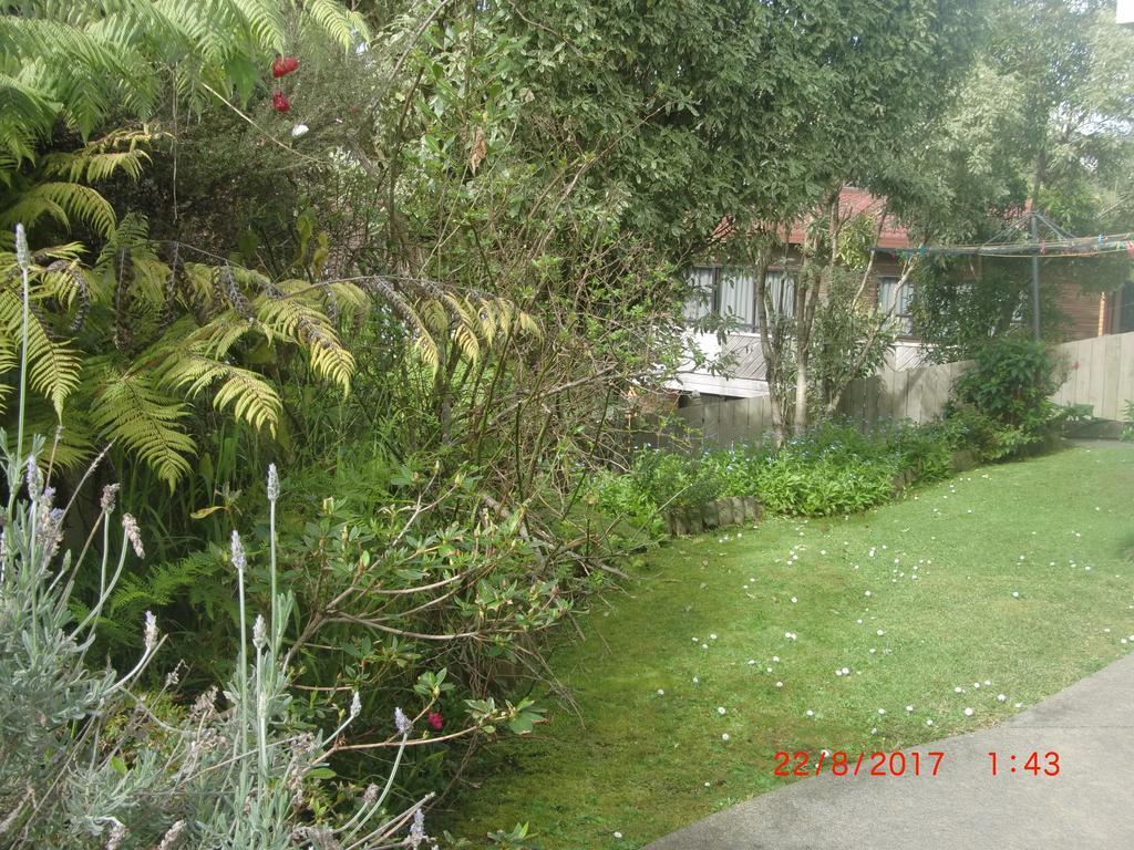 The Haven B & B Auckland Zewnętrze zdjęcie