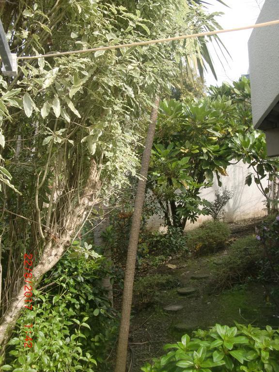 The Haven B & B Auckland Zewnętrze zdjęcie